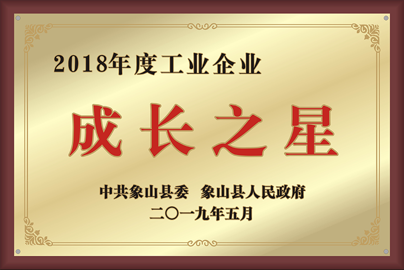 2018年度工業(yè)企業(yè)成長之星