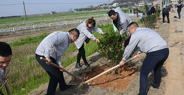 參加植樹(shù)造林，保護(hù)美麗家園！